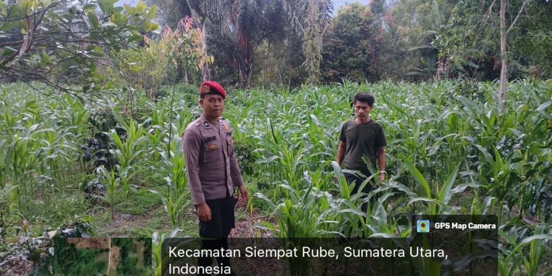 Polres Pakpak Bharat Dorong Semangat Masyarakat untuk Mendukung Dan Ambil Bagian Dalam Program Ketapang