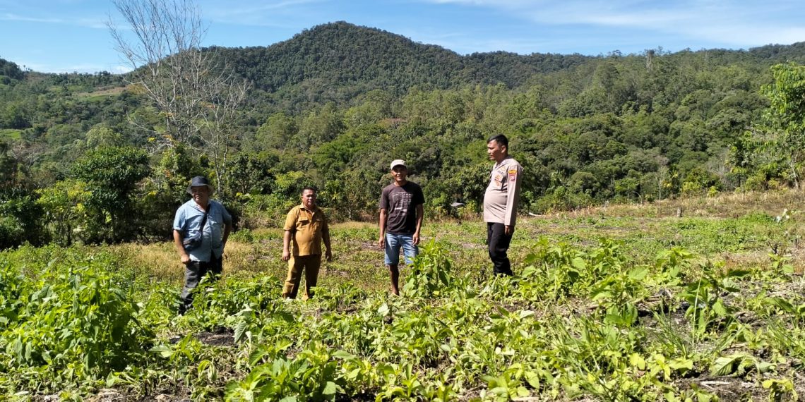 Dorong Dan Dukung Program Ketahanan Pangan Bhabinkamtibmas Polres Pakpak Bharat Aktif Sambangi Petani.
