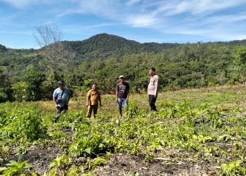Dorong Dan Dukung Program Ketahanan Pangan Bhabinkamtibmas Polres Pakpak Bharat Aktif Sambangi Petani.