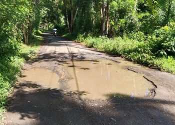 Keluhan Warga Terkait Jalan dan Jembatan Rusak Parah Menuju Kecamatan Wori, Meminta Perhatian Serius dari Bupati.