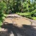 Keluhan Warga Terkait Jalan dan Jembatan Rusak Parah Menuju Kecamatan Wori, Meminta Perhatian Serius dari Bupati.