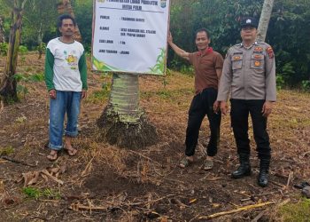 Satu Polisi Satu Desa Mulai Pasang Spanduk Penanaman Serentak Di Desa Binaannya Di Wilayah Kabupaten Pakpak Bharat.