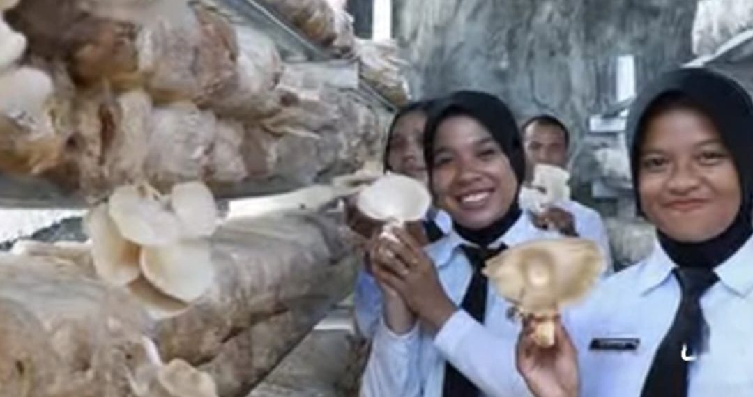 Panen Jamur Tiram Hasil Budidaya Warga Binaan Rutan I Medan