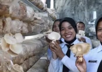 Panen Jamur Tiram Hasil Budidaya Warga Binaan Rutan I Medan