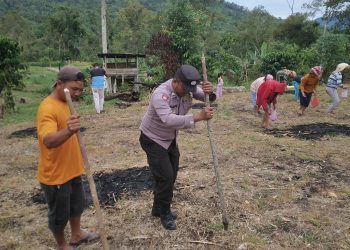 Kapolres Pakpak Bharat Pada Penanaman Serentak Kuartal III : Bhabinkamtibmas Dorong Semangat Masyarakat Dukung Program Ketapang
