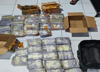 Brimob Polda Sumut dan BNNP Sumut Bongkar Jaringan Narkoba Besar di Medan, 36 Kg Sabu Diamankan dalam Operasi Gabungan
