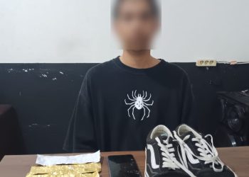 Satresnarkoba Polres Bitung,Tangkap Pemilik Narkotika Jenis Ganja