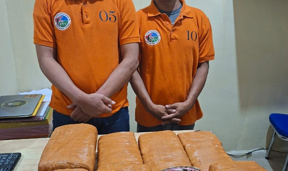 Sat Narkoba Polres Pelabuhan Belawan Gagalkan Peredaran 13 Kg Ganja, 2 Bandar Ditangkap