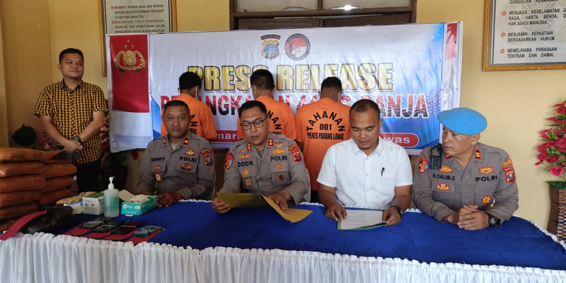 Polres Padang Lawas Ungkap Kasus Ganja 44 Kg, Tiga Pelaku Diamankan