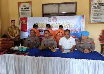 Polres Padang Lawas Ungkap Kasus Ganja 44 Kg, Tiga Pelaku Diamankan