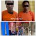 Gerebek Sarang Narkoba di Langkat, Satresnarkoba Binjai Amankan Dua Pelaku