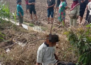 Deliserdang Heboh, Pria Ditemukan Tewas Gantung Diri di Pohon Mangga