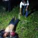 Polisi Tangkap Satu Pelaku Penganiayaan Hingga Meninggal Dunia Akibat Isu Santet