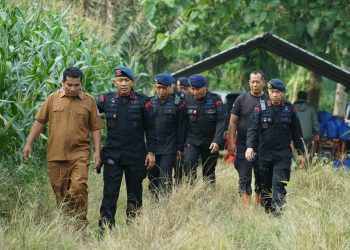 Brimob Polda Sumut Panen Raya Bersama Petani: Wujud Nyata Polri Dukung Ketahanan Pangan Nasional