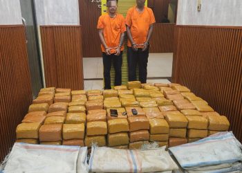 Timsus Ditresnarkoba Polda Sumut Gagalkan Peredaran 255 Kg Ganja Asal Aceh, Dua Kurir Ditangkap