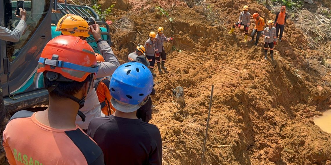 Polsatwa K-9 Ditsamapta Polda Sumut Terus Berupaya Maksimalkan Pencarian Korban Longsor di Tapanuli Selatan