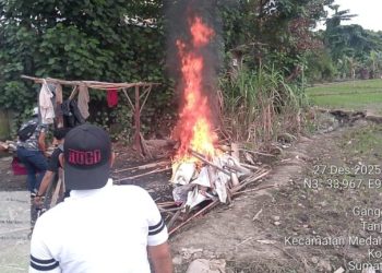 Gerebek dan Bakar Gubuk Sarang Narkoba di Jalan Setiabudi Medan