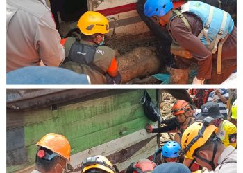 Unit K-9 Polda Sumut Kembali Temukan Korban Banjir Bandang, Polri Tegaskan Pencarian Terus Dilakukan