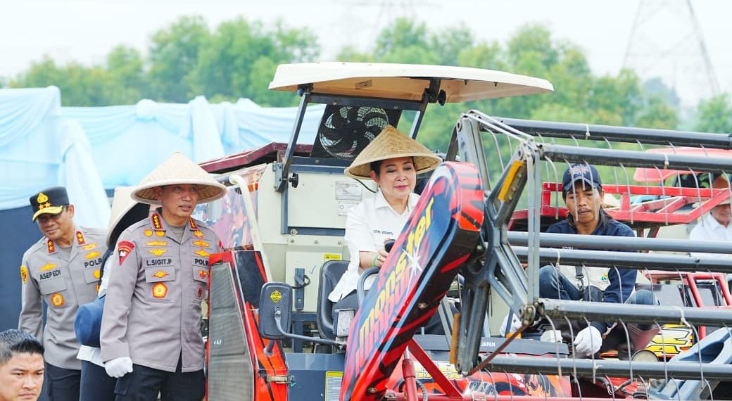Dukung Ketahanan Pangan Nasional, Polda Sumut dan Polres Jajaran Ikuti Panen Raya Jagung Serentak Polri