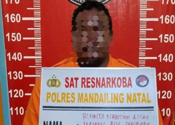 Respon Cepat Aduan Warga, Polres Madina Ungkap Peredaran Sabu di Desa Sikapas Kec. Muara Batang Gadis