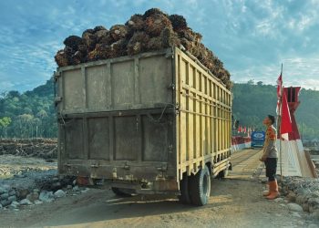 Personel Brimob Kawal Akses Jalan Darurat Desa Garoga demi Kelancaran Mobilitas Warga