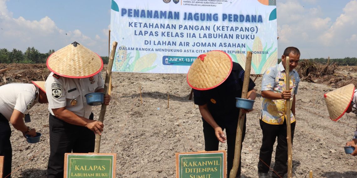 Kanwil Ditjenpas Sumut Tancap Gas Dukung Ketahanan Pangan Nasional, Tanam Jagung Perdana di Lahan Air Joman