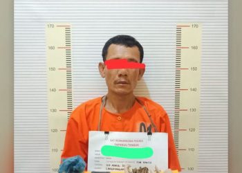 Polres Tapteng Ringkus ‘Kongo’, Pengedar Paket Lengkap Ganja dan Sabu di Lubuk Tukko