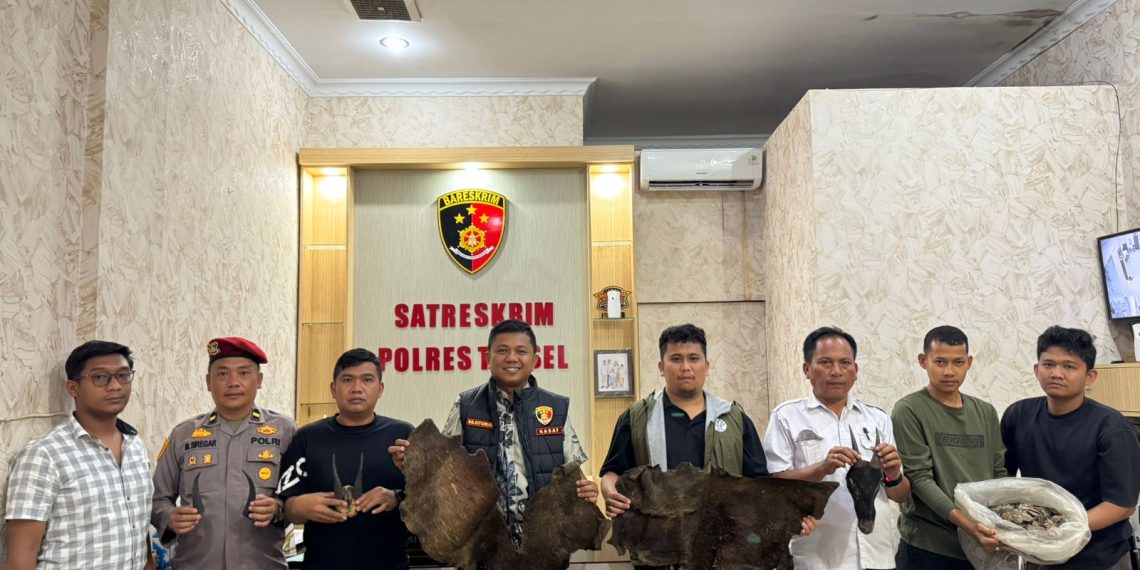 Perdagangan Ilegal Satwa Dilindungi Digagalkan di Sipirok, Polisi Amankan Sisik Trenggiling hingga Kulit Kijang