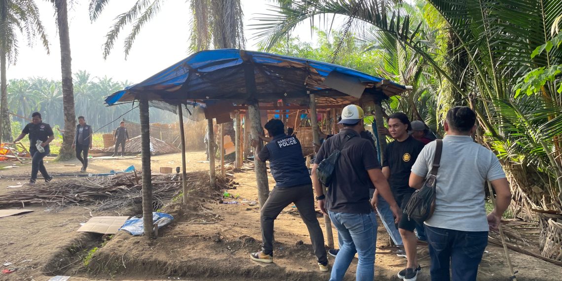 Satresnarkoba Polres Binjai Kembali Grebek Dan Hancurkan Barak Narkoba Di Desa Perdamaian