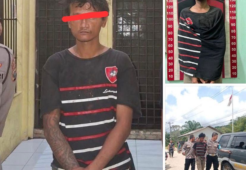 POLRES TAPTENG UNGKAP KASUS PENCABULAN ANAK DI KECAMATAN BADIRI, PELAKU BERHASIL DIAMANKAN