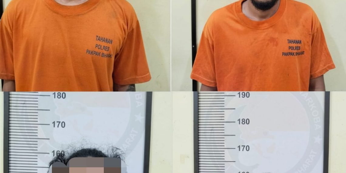 Luar Biasa .!! Satres Narkoba Polres Pakpak Bharat Ringkus Pengedar, Bandar dan Pemakai Narkoba.