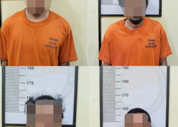 Luar Biasa .!! Satres Narkoba Polres Pakpak Bharat Ringkus Pengedar, Bandar dan Pemakai Narkoba.