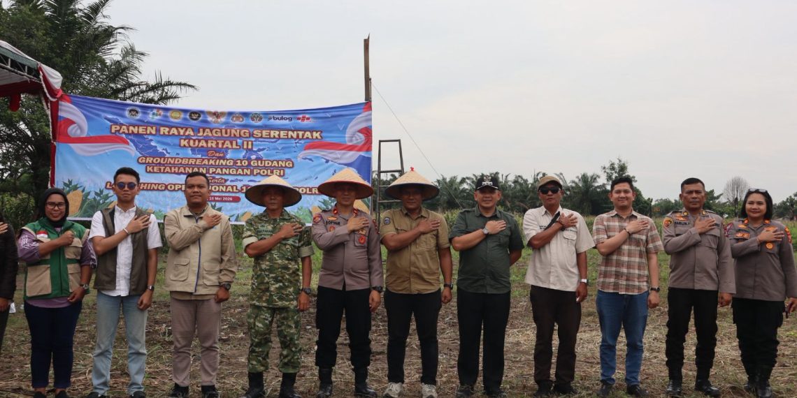 Polres Binjai Bersama Forkopimda Ikuti Panen Raya Jagung Serentak Kuartal II dan Launching Program Ketahanan Pangan Polri