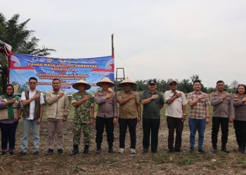 Polres Binjai Bersama Forkopimda Ikuti Panen Raya Jagung Serentak Kuartal II dan Launching Program Ketahanan Pangan Polri