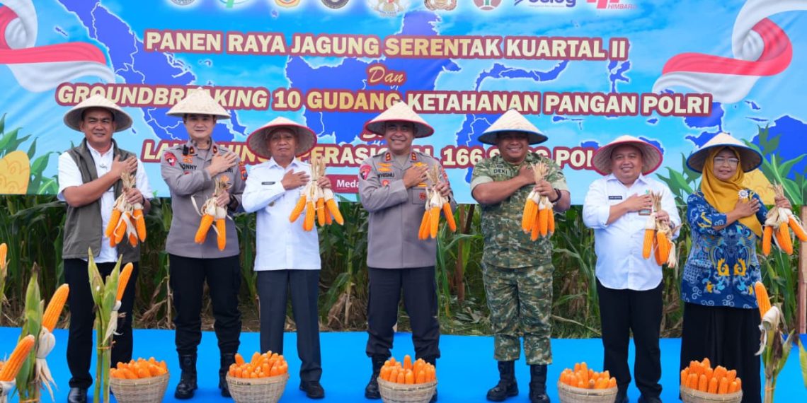 Polda Sumut Ikuti Panen Raya Jagung Serentak Polri Bersama Presiden Prabowo, Dukung Ketahanan Pangan Nasional