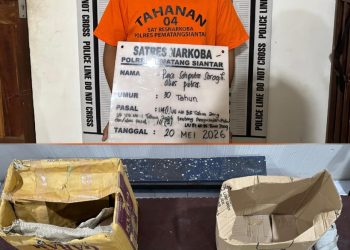 Polres Pematangsiantar Ungkap Peredaran Ganja 7 Kg, Satu Tersangka Ditangkap
