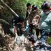 Tindaklanjuti Laporan Masyarakat Satres Narkoba Polres Pakpak Bharat Grebek Sarang Narkoba ( GSN )