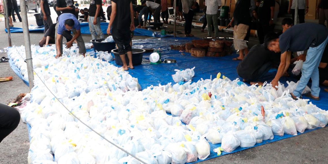 150 Ton Daging Kurban PTPN IV PalmCo Mengalir ke Pelosok Negeri