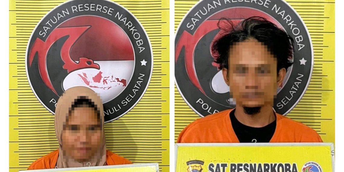 Satresnarkoba Polres Tapsel Gagalkan Peredaran 3 Kg Ganja, Dua Pelaku Ditangkap Gunakan Becak Motor
