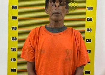 Pengedar Ganja di Medan Area Diciduk Saat Transaksi, Polisi Sita 24 Bungkus Siap Edar