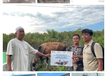 Pelindo Regional 1 Serahkan Hewan Qurban kepada Masjid Sekitar Pelabuhan