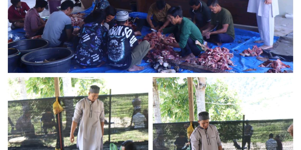 Tingkatkan Ketaqwaan Dan Keimanan Di Hari Raya Idul Adha 10 Dzulhijjah 1447 H / 2026 M Polres Pakpak Bharat Sembelih 2 Ekor Sapi Dan 2 Ekor Kambing.