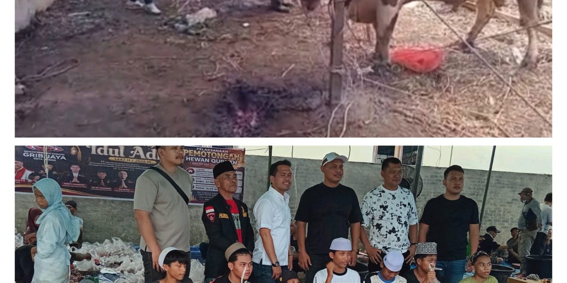 Qurban Pembina Ferdi Sembiring & DPC GRIB JAYA Kota Medan: 25 Ekor Sapi dan 2 Ekor Kambing Dibagikan untuk Ribuan Warga