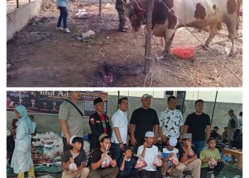 Qurban Pembina Ferdi Sembiring & DPC GRIB JAYA Kota Medan: 25 Ekor Sapi dan 2 Ekor Kambing Dibagikan untuk Ribuan Warga