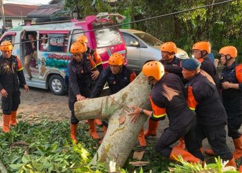 “Pohon Tumbang Tutup Akses Jalan, Brimob Sumut Bergerak Cepat Bantu Warga Pematangsiantar”
