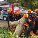 “Pohon Tumbang Tutup Akses Jalan, Brimob Sumut Bergerak Cepat Bantu Warga Pematangsiantar”