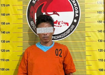 Puluhan Paket Sabu Dan Ganja Disita: Pengedar 44 Tahun Dibekuk Polisi