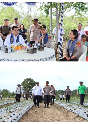 Kapolda Sumut Tinjau Sentra Bawang Putih di Samosir, Tegaskan Dukungan Polri untuk Ketahanan Pangan Nasional