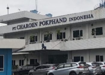 Mesin Silo Diduga Renggut Nyawa Karyawan, PT Charoen Pokphand Indonesia Dinilai Bungkam, Keluarga Korban Tuntut Transparansi dan Keadilan