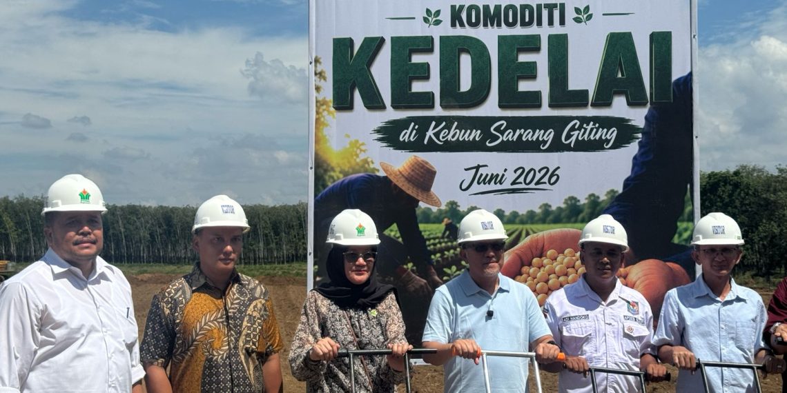 PTPN IV PalmCo Matangkan Pilot Project Kedelai Dukung Percepatan Swasembada Pangan Nasional